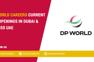 DP World Careers