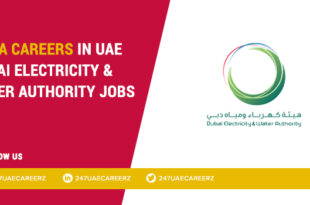 DEWA Careers