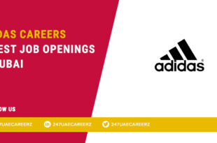 Adidas Careers