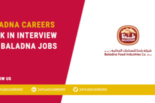 Baladna Careers