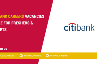 Citibank Careers